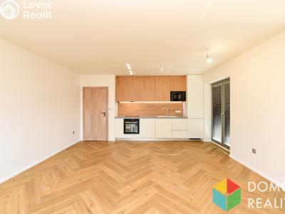 Rent apartment 2+KK Beroun, Vorlova č. 6