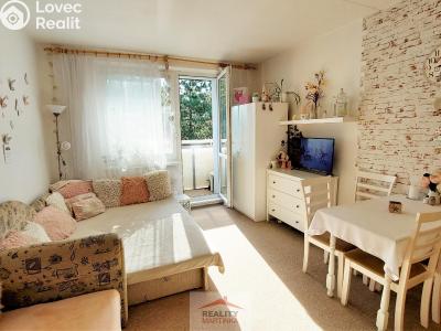 Rent apartment 1+KK Valašské Meziříčí, Vsetínská 458 č. 1