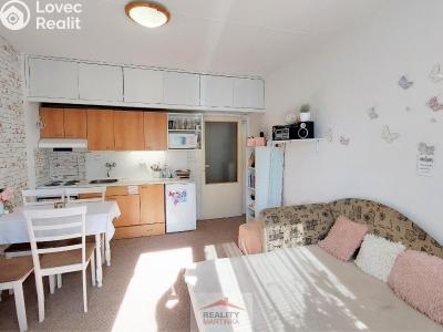 Rent apartment 1+KK Valašské Meziříčí, Vsetínská 458 č. 2