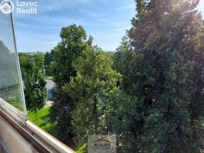 Rent apartment 1+KK Valašské Meziříčí, Vsetínská 458 č. 3