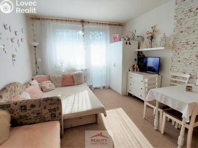 Rent apartment 1+KK Valašské Meziříčí, Vsetínská 458 č. 7