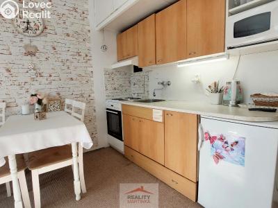 Rent apartment 1+KK Valašské Meziříčí, Vsetínská 458 č. 11