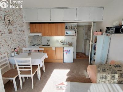 Rent apartment 1+KK Valašské Meziříčí, Vsetínská 458 č. 13