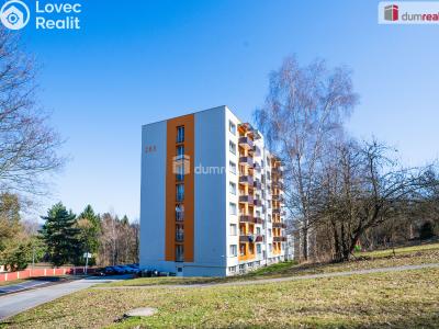 Prodej bytu 1+KK Větřní, Šumavská č. 11