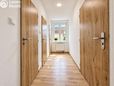 Sale apartment 3+1 Český Těšín, Na Olšinách č. 4