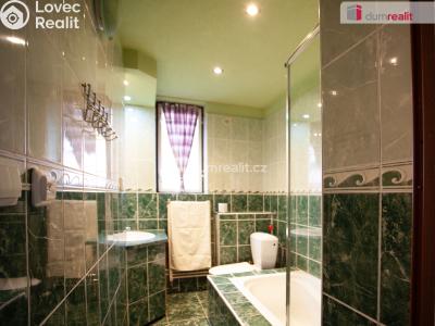 Rent apartment 5+KK Sezimovo Ústí, Šafaříkova č. 12
