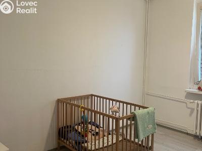 Prodej bytu 3+1 Ústí nad Labem, Jindřicha Plachty č. 8