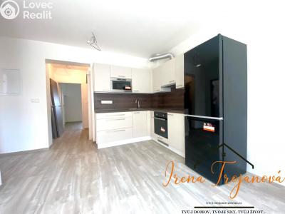 Rent apartment 2+KK Benešov, Černoleská 584 č. 4