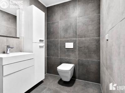 Продаж квартири 3+KK Frýdek-Místek, Panské Nové Dvory č. 12