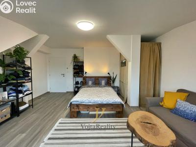 Rent apartment 1+1 Olomouc, Bořivojova č. 4