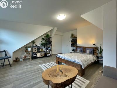 Rent apartment 1+1 Olomouc, Bořivojova č. 6