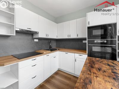 Sale apartment 2+1 Ústí nad Labem, Rabasova č. 2