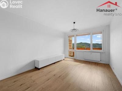 Sale apartment 2+1 Ústí nad Labem, Rabasova č. 5