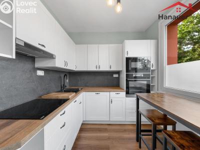 Sale apartment 2+1 Ústí nad Labem, Rabasova č. 6