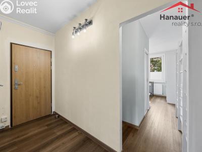Sale apartment 2+1 Ústí nad Labem, Rabasova č. 7