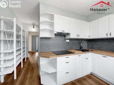 Sale apartment 2+1 Ústí nad Labem, Rabasova č. 9
