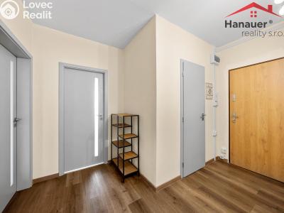 Sale apartment 2+1 Ústí nad Labem, Rabasova č. 11