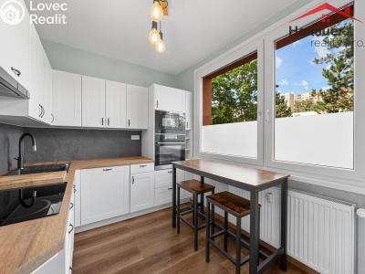 Sale apartment 2+1 Ústí nad Labem, Rabasova č. 12