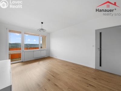 Sale apartment 2+1 Ústí nad Labem, Rabasova č. 14