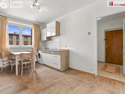 Sale apartment 2+1 Ostrov, Lidická č. 1