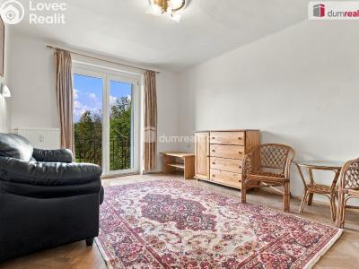 Sale apartment 2+1 Ostrov, Lidická č. 4