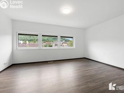 Pronájem rodinného domu Kopřivnice, Horní č. 11