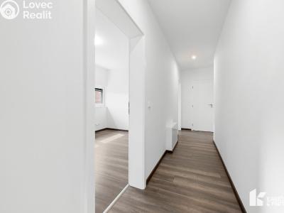 Pronájem rodinného domu Kopřivnice, Horní č. 16