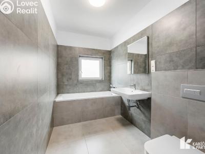 Pronájem rodinného domu Kopřivnice, Horní č. 19
