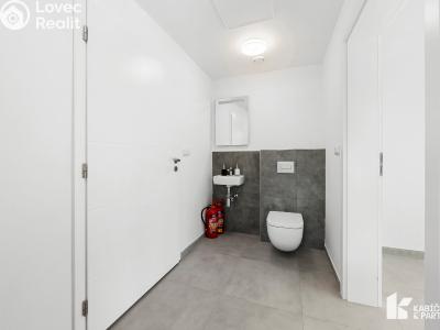 Pronájem rodinného domu Kopřivnice, Horní č. 21