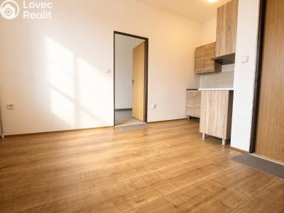 Rent apartment 2+KK Hradec Králové, Petra Jilemnického č. 3