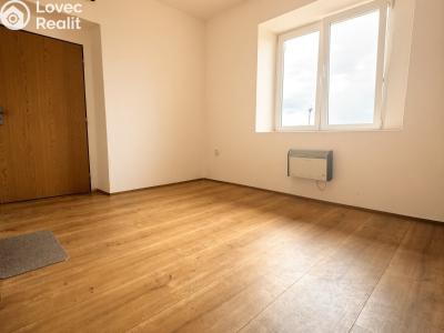 Pronájem bytu 2+KK Hradec Králové, Petra Jilemnického č. 4