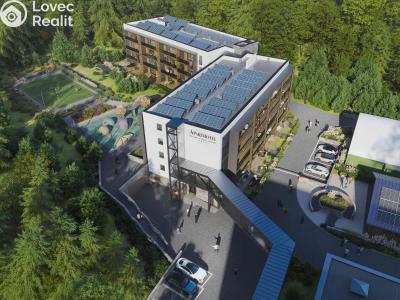 Продажа квартиры 1+KK Deštné v Orlických horách, Deštné v Orlických horách č. 1