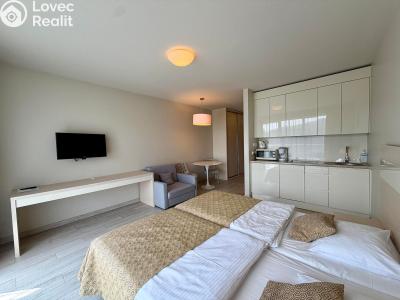 Продажа квартиры 1+KK Dolní Morava, Dolní Morava č. 4