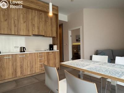 Продажа квартиры 2+KK Dolní Morava, Dolní Morava č. 3