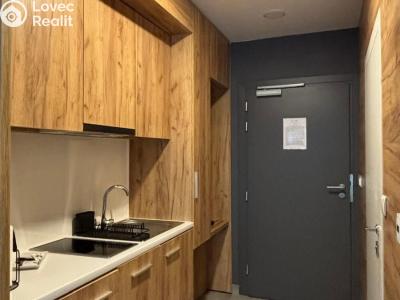 Продаж квартири 1+KK Dolní Morava, Dolní Morava č. 5