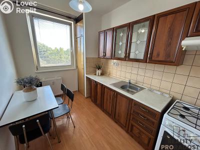 Rent apartment 2+1 Hodonín, Jižní č. 1