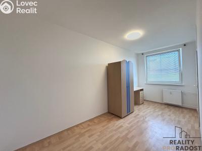 Rent apartment 2+1 Hodonín, Jižní č. 4