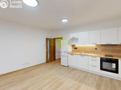 Rent apartment 1+KK Olomouc, Janského č. 6