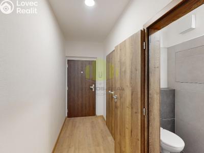 Rent apartment 1+KK Olomouc, Janského č. 13