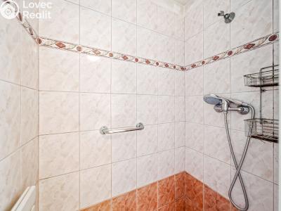 Sale family house Tršice č. 18