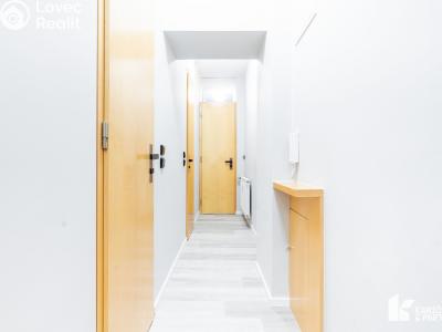 Pronájem bytu 3+KK Brno, Mášova č. 24
