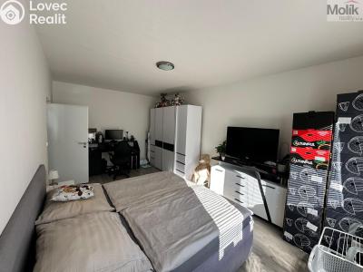 Pronájem bytu 2+1 Most, Zdeňka Fibicha č. 7