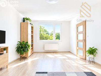 Prodej bytu 2+1 Ústí nad Labem, Tolstého č. 1