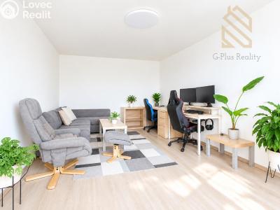 Prodej bytu 2+1 Ústí nad Labem, Tolstého č. 13