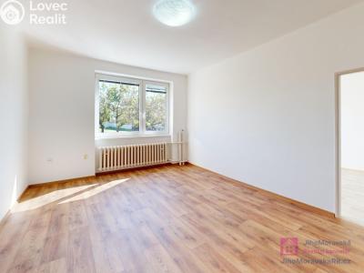 Pronájem bytu 3+1 Bořetice č. 10