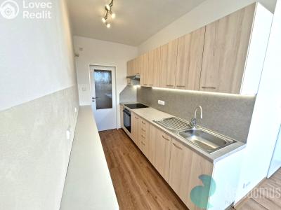 Оренда квартири 1+1 České Budějovice, Kubatova č. 1