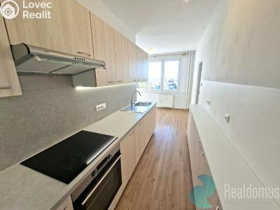 Оренда квартири 1+1 České Budějovice, Kubatova č. 3