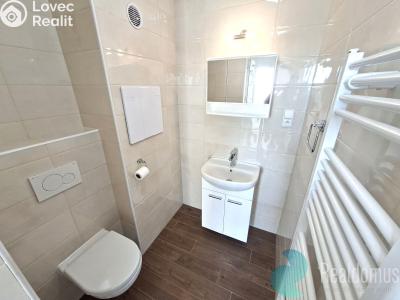 Оренда квартири 1+1 České Budějovice, Kubatova č. 7