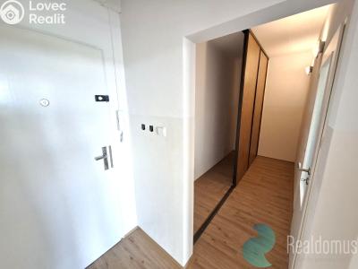Оренда квартири 1+1 České Budějovice, Kubatova č. 9
