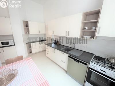 Pronájem bytu 1+1 Brno, Botanická č. 1